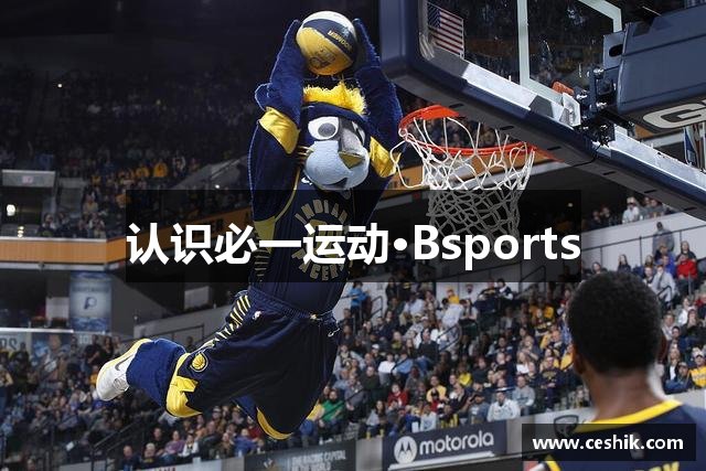 认识必一运动·Bsports